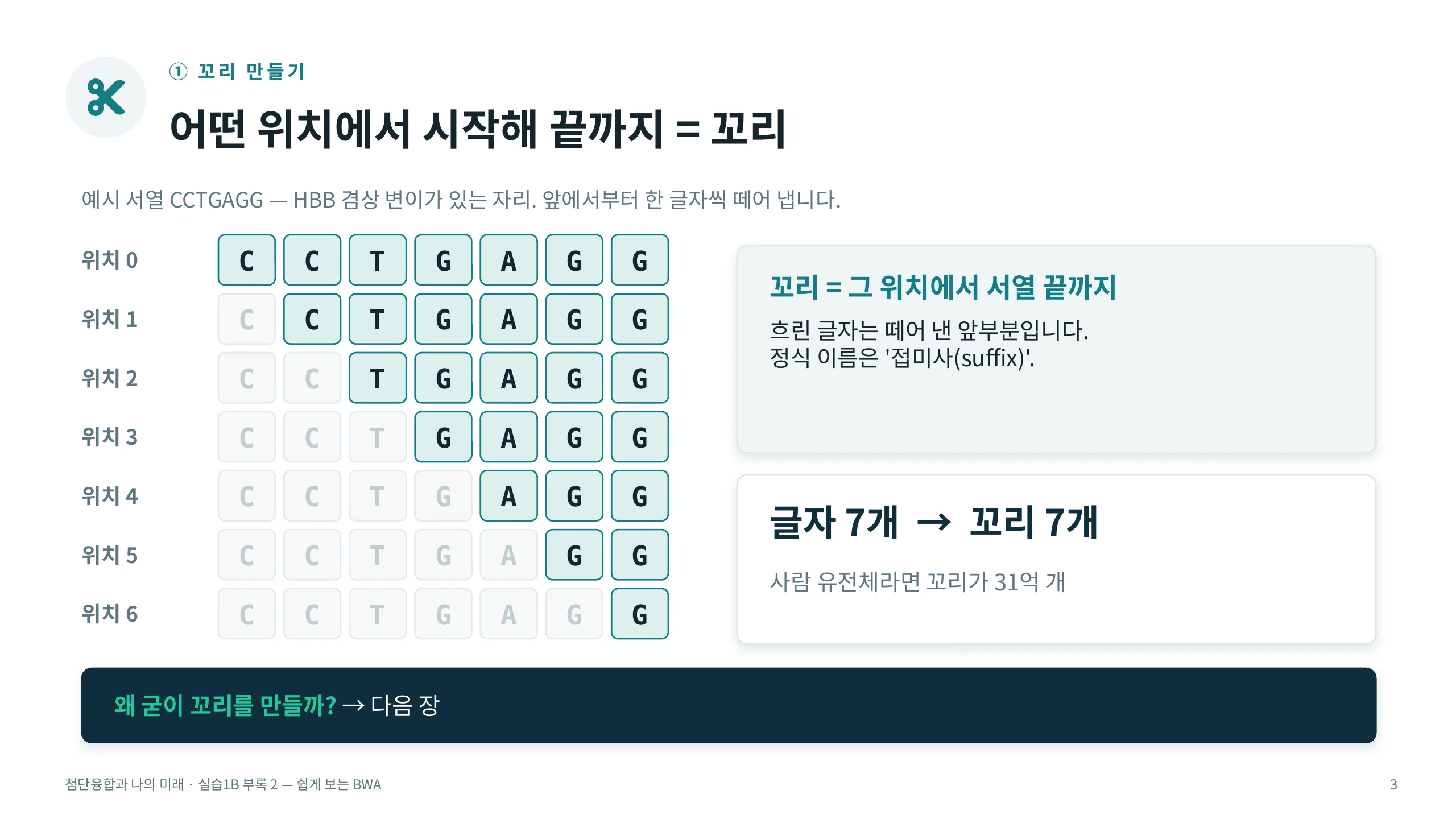 ① 꼬리 만들기 — 어떤 위치에서 시작해 끝까지 = 꼬리