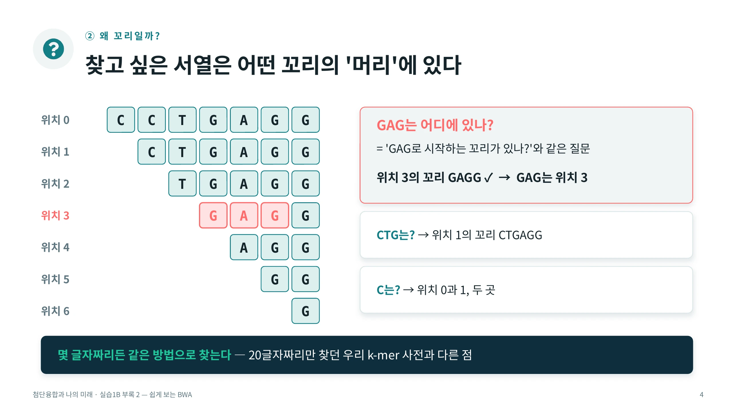 ② 왜 꼬리일까? — 찾고 싶은 서열은 어떤 꼬리의 '머리'에 있다