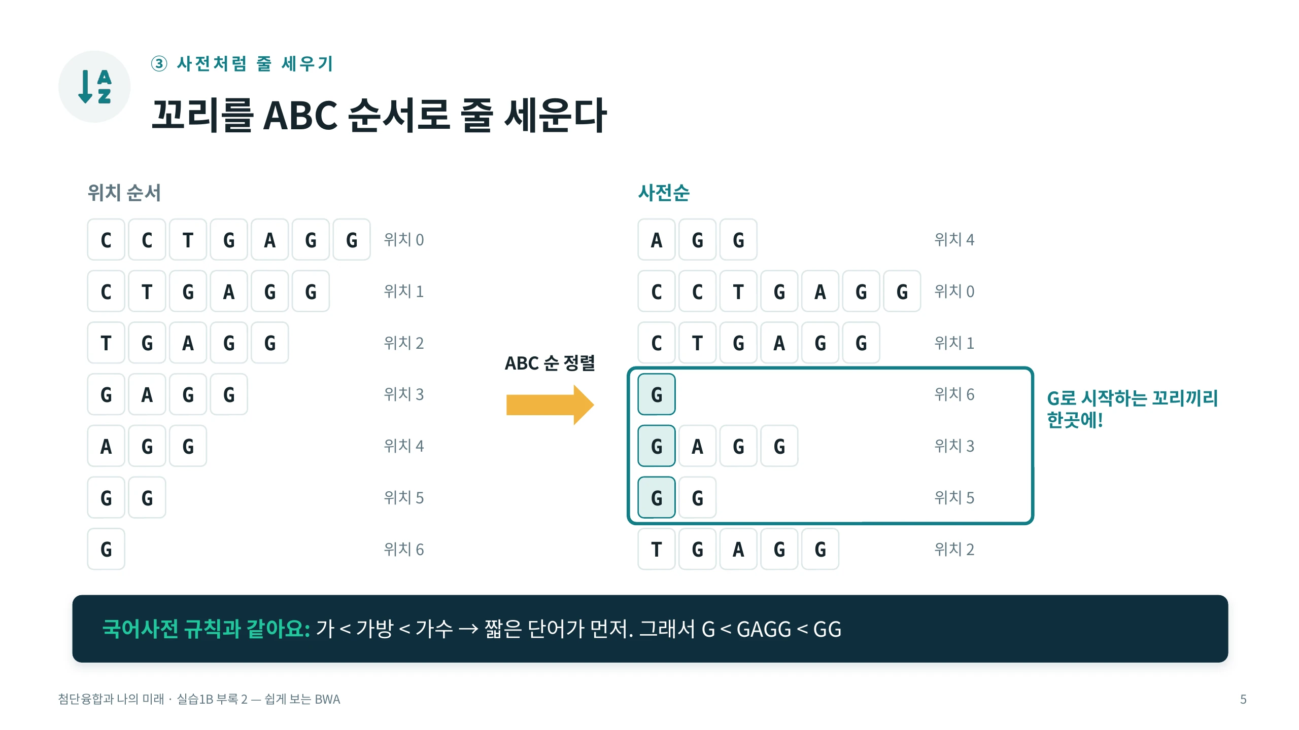 ③ 사전처럼 줄 세우기 — 꼬리를 ABC 순서로 줄 세운다