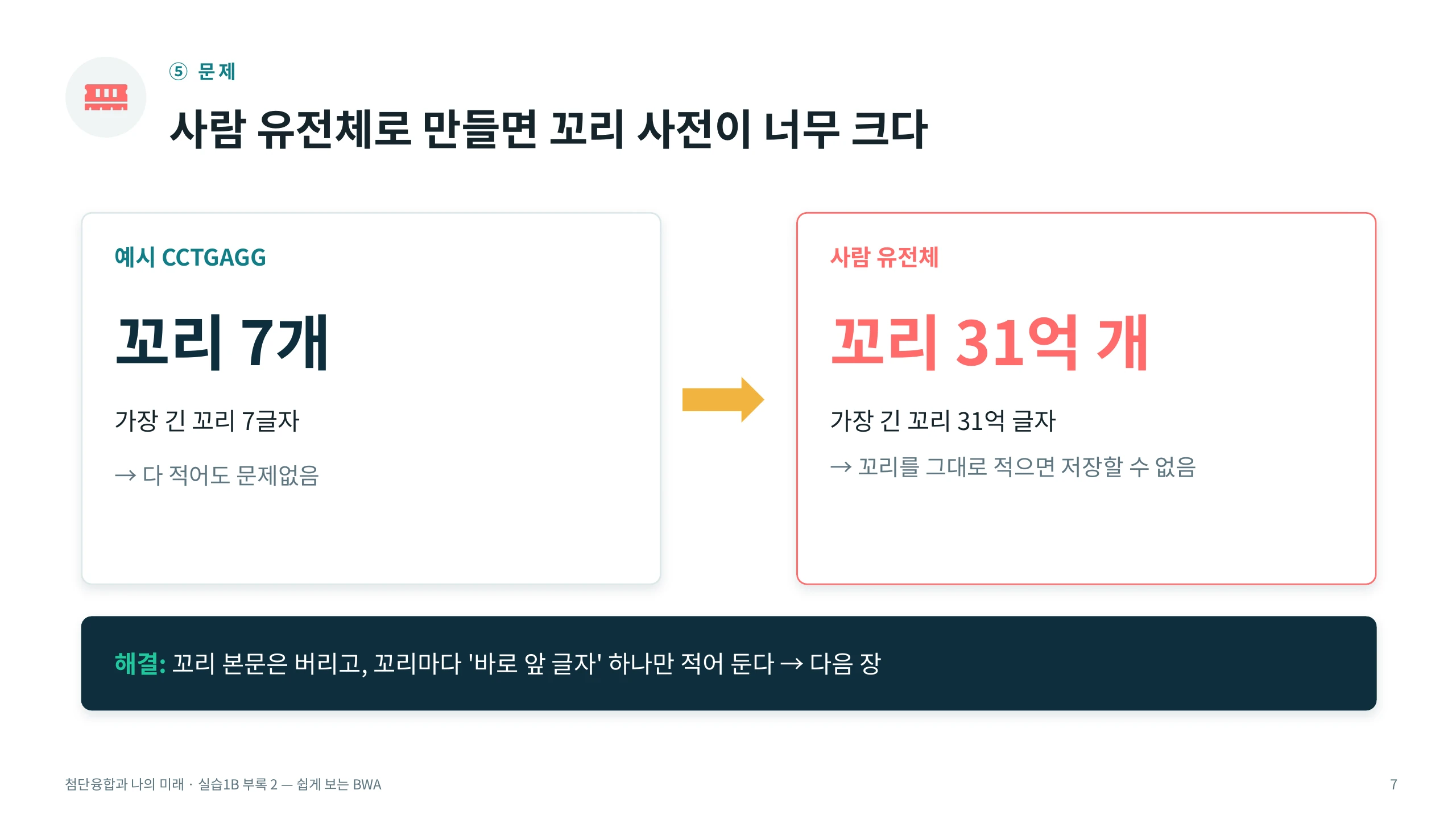 ⑤ 문제 — 사람 유전체로 만들면 꼬리 사전이 너무 크다
