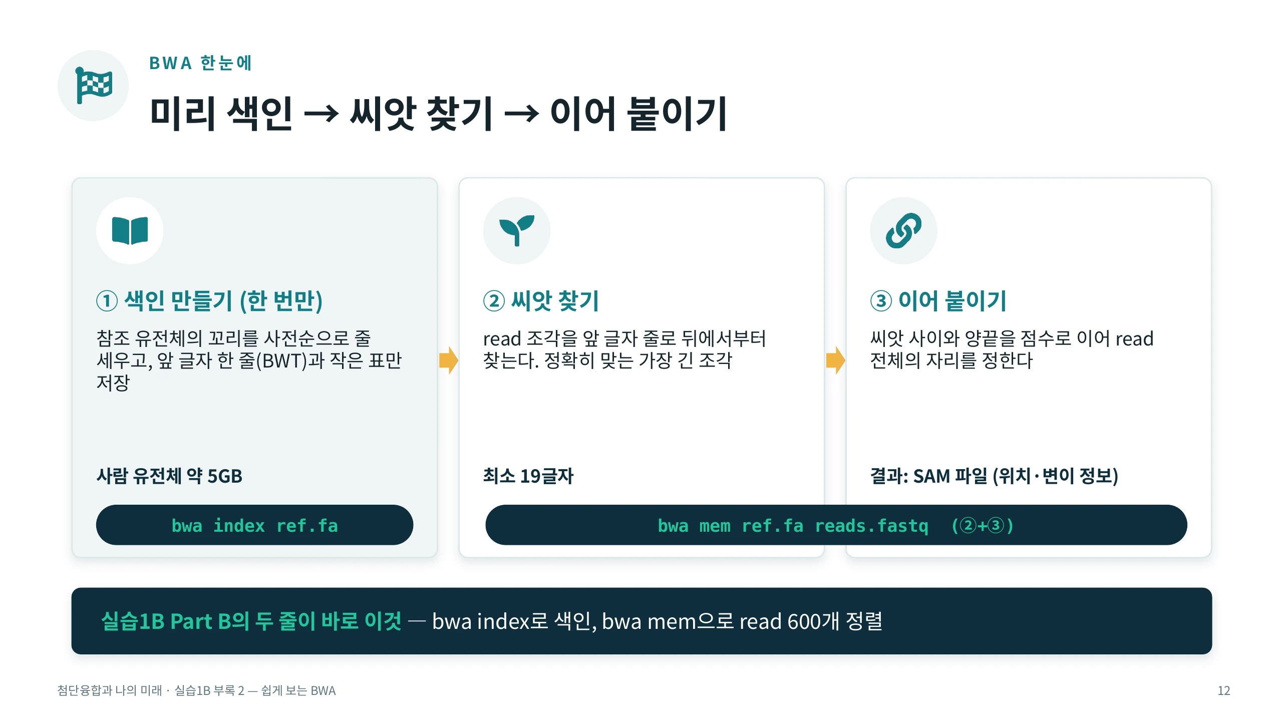 BWA 한눈에 — 미리 색인 → 씨앗 찾기 → 이어 붙이기